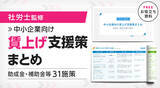 「【中小企業必見】賃上げの波に乗り遅れる前に！今すぐ使える政府支援策を社労士が厳選解説」の画像2