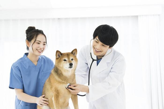 イヌ・ネコノミクス隆盛…でも、人材不足・採用難にあえぐペット業界。「寝ながら獣医師」が体現したはたらき方と障がい者雇用の在り方