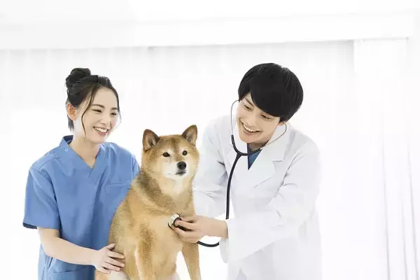 「イヌ・ネコノミクス隆盛…でも、人材不足・採用難にあえぐペット業界。「寝ながら獣医師」が体現したはたらき方と障がい者雇用の在り方」の画像