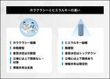 「ホラクラシーとは？ティール組織との違い、導入のためのポイント」の画像3