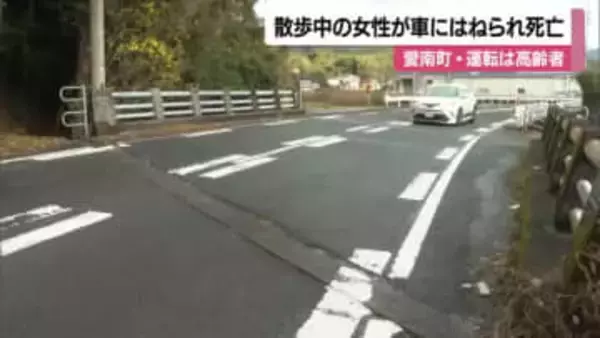 愛南で散歩中の女性がはねられ死亡　軽乗用車運転の８０代女性「歩行者に気づかなかった」【愛媛】