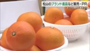 松山市のブランド産品や県の特産品を販売  第１８回まつやま農林水産まつり【愛媛】