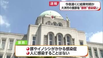 大洲市の養豚場で「豚熱」疑われる事例　確定検査で結果は７日夜に判明の見通し【愛媛】