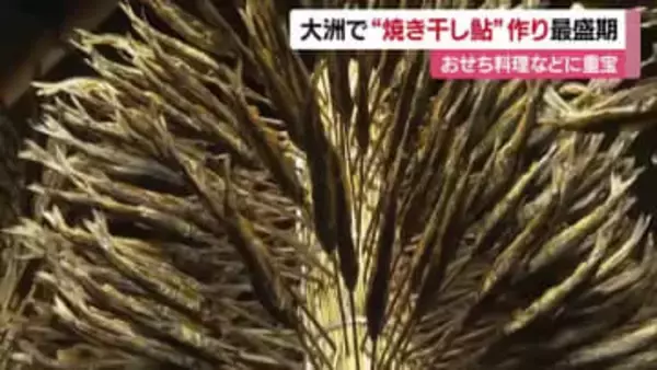 「もうすぐ正月」大洲市で「焼き干し鮎」作り盛ん　おせち料理などに重宝される伝統食材【愛媛】