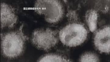 愛媛でインフルエンザ感染急増　西条保健所エリアは新型コロナも“注意報レベル”県が予防呼びかけ【愛媛】