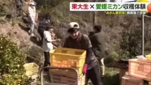 異色のコラボ！松山市の離島で東大生が収穫体験　「東大みかん愛好会」が貴重な経験味わう【愛媛】