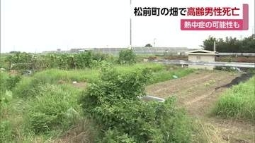 死因は熱中症の可能性も　松前町の畑で倒れていた８０歳男性が死亡　愛媛は各地で猛暑日に【愛媛】