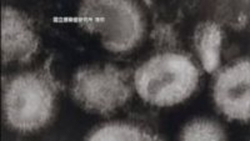 約７７％がＢ型　愛媛でピーク過ぎたインフルエンザが再び急増「警報レベル」予防の徹底を【愛媛】