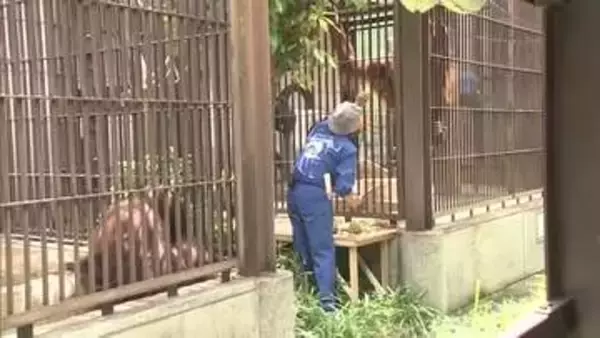“ファーストバイトは緊張気味” とべ動物園の「ジェニファー」と「ハヤト」外にそろって初登場 【愛媛】
