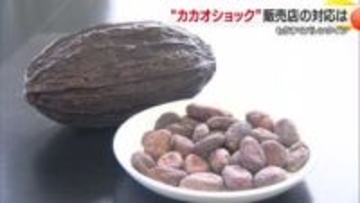 バレンタイン商戦に「カカオショック」四国中央のチョコ専門店「仕入れに大打撃」高騰で商品値上げ【愛媛】