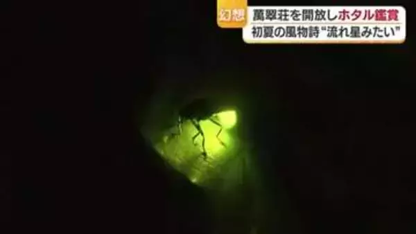 暗闇に乱舞する初夏の灯　松山・萬翠荘でホタル鑑賞会「すごい幻想的」最初放流も自然繁殖に【愛媛】