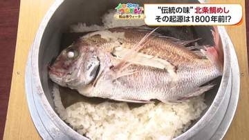 昆布と醤油で鯛を丸ごと一匹炊き上げる『松山・北条鯛めし』神功皇后伝説から続く「白い鯛めし」は思い出の味【愛媛発】