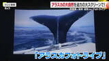 「アラスカに魅せられ３０年　写真家・松本紀生さんが地元・松山でフォトライブ　親子連れら感動【愛媛】」の画像1