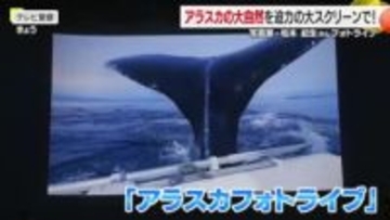 アラスカに魅せられ３０年　写真家・松本紀生さんが地元・松山でフォトライブ　親子連れら感動【愛媛】