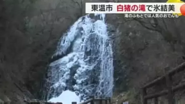 まるで“シャンデリア”東温「白猪の滝」が今年も氷瀑　麓の店はおでん人気　仕込みに大忙し【愛媛】