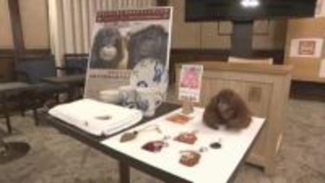 「種の保存を一緒に」とべ動物園・オランウータン“カップル”支援へ　愛媛県がクラファン開始【愛媛】