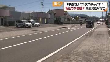 「倒れて頭から出血」松山市でひき逃げ　９８歳男性が意識不明後に死亡　警察が逃走車の行方捜査【愛媛】