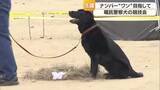 「“ワン”ダフルな嗅覚を発揮　松前町で民間の警察犬の競技会「足跡追及」「捜索」で能力発揮【愛媛】」の画像1