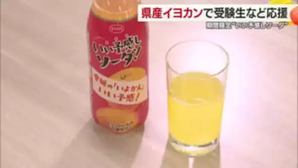 受験や就職活動は「いい予感しソーダ」愛媛産イヨカン使った炭酸飲料開発　１２日から期間限定発売【愛媛】