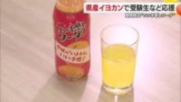 受験や就職活動は「いい予感しソーダ」愛媛産イヨカン使った炭酸飲料開発　１２日から期間限定発売【愛媛】