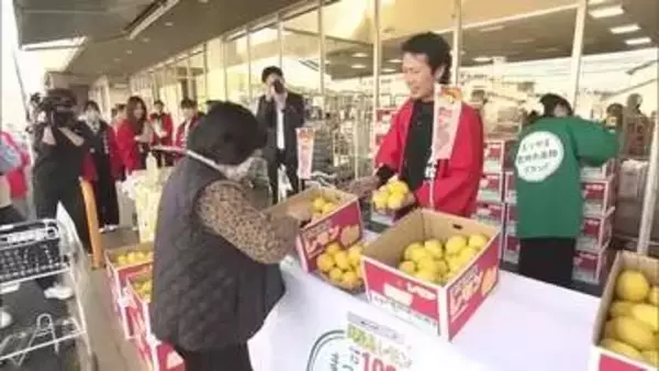 ４月に旬「興居島レモン」松山のスーパーでＰＲ　自家製レモネードに「おいしい」酸味と甘み特長【愛媛】