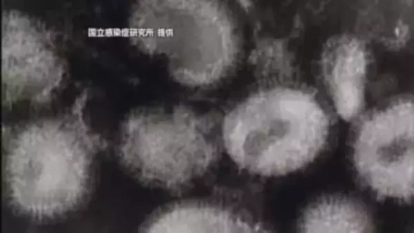 愛媛で再び大流行のインフル高止まり「Ｂ型が９５％」Ａ型に続き感染も　西条保健所エリアで突出【愛媛】