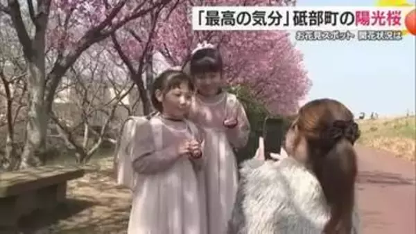 水辺を彩る“春錦”　砥部・赤坂泉公園で陽光桜が満開「もう最高の気分」小学校入学へ記念写真も【愛媛】
