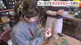 「「簡単にできる」愛媛特産のユーカリでクリスマスリースづくり　松山の生花店から作り方レクチャー【愛媛】」の画像1