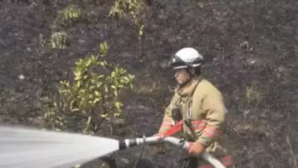 「枯草が燃え広がった」松山の山間のミカン畑で火事　現場で所有の７０代男性が野焼き【愛媛】