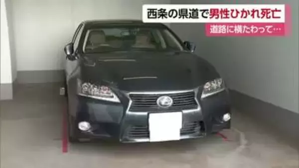 西条の道路で横たわっていた男性　駐車場から出た直後の普通車にひかれ死亡　警察が状況調べる【愛媛】