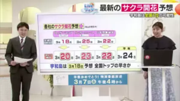 松山のサクラ開花は２０～２３日か　気象３社が最新予想　宇和島は１８日で全国トップの可能性【愛媛】