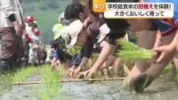 四国中央市で小学生が田植え体験 「大きく育って」 いずれは学校の給食米に【愛媛】