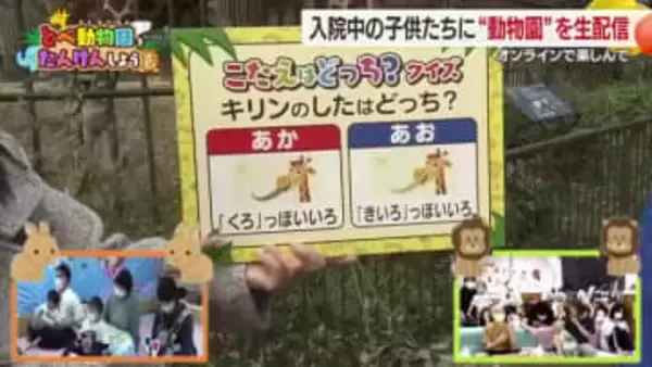 病院に入院しながら動物と対面　子どもたちがオンラインでとべ動物園を“探検”【愛媛】