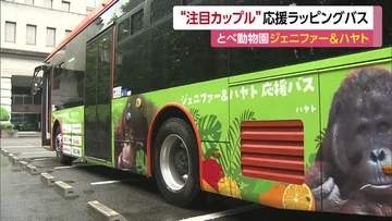 “ジェニファー＆ハヤト”を応援！松山でラッピングバス運行　広告料の一部は繁殖活動などに【愛媛】