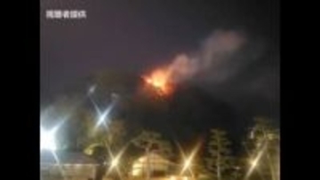 松山の大事な所で…観光地・道後公園の丘で立ち上る炎　火災に一時騒然　普段火の気なく原因調べる【愛媛】