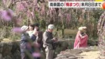 「色が濃くてすごくきれい」南楽園梅まつり始まる　宇和島市の四国最大規模の日本庭園【愛媛】