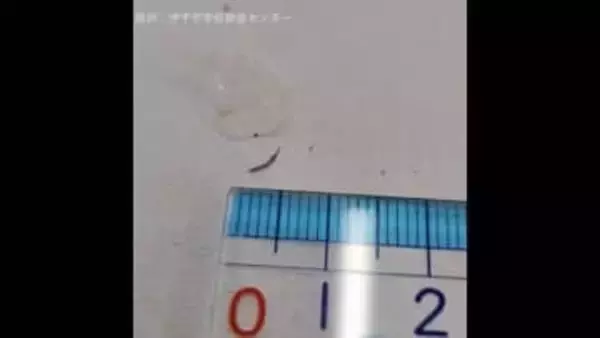 伊予市の学校給食センターで「ご飯」に金属片混入を職員発見　児童・生徒の被害報告なし【愛媛】