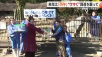 巳年から午年へ“ウマ～く”バトンパス 県立とべ動物園で年末恒例「干支送り」【愛媛】