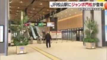 新春へ年の瀬の風物詩　ＪＲ松山駅に今年も「ジャンボ門松」利用客出迎え　帰省ラッシュ２７日から【愛媛】