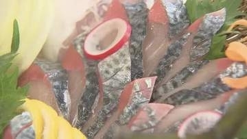 「こんなに美味とは」愛媛の完全養殖「マサバ」松山で観光業対象に試食会　仕入れなど検討【愛媛】