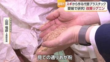 鬼の町・鬼北町に世界初の工場が誕生！「捨てられていた木くず」が高性能なプラスチック素材に変わるその秘密【愛媛発】