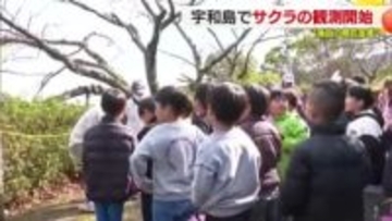 本格的な春の足音近づく…宇和島で独自の桜観測が今年もスタート　子どもが歌やダンスで開花後押し【愛媛】