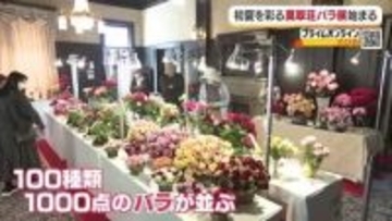 大正ロマンあふれる洋館に華やかな香り　松山・萬翠荘で今年もバラ展　来場者をエレガント世界に【愛媛】