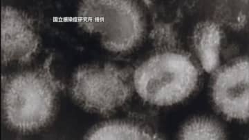 愛媛でインフルエンザの拡大続き大流行「警報」続く　特に西条・今治保健所エリアで突出【愛媛】