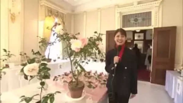 もう一つの“椿まつり”松山で「伊予つばき名花展」大正ロマンあふれる萬翠荘で開催「儚さが魅力」【愛媛】