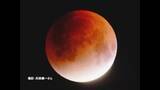 「“ひな祭り皆既月食”を愛でよう　愛媛でも３月３日夜に観測チャンス　次は３年後の元日の夜【愛媛】」の画像1