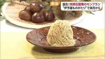 １ミリのペースト　内子「完熟石畳栗」使用の絶品モンブラン「伊予灘ものがたり」で期間限定登場へ【愛媛】
