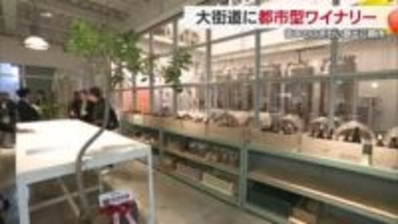 松山の大街道商店街でワイン作って提供「都市型ワイナリー」オープン　商店街の活性化に期待【愛媛】