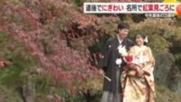 ミカンに足湯を堪能　観光地道後＆紅葉スポットも多くの人出でにぎわい　今年最後の３連休最終日　【愛媛】