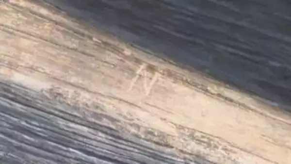 「どうして…許せない」“現存１２天守”宇和島城に“N”落書き　文化財保護法違反で被害届提出へ【愛媛】